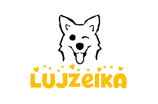 Logo Lujzeika